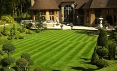 Garden Maintenance