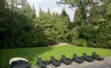 Hedge Maintenace