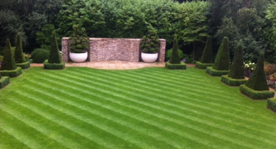 Landscaping Image