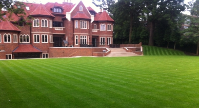 Landscaping Image