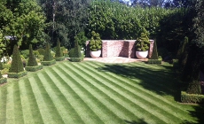 Garden Fences
